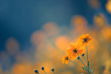 乒乓球比赛过程精彩描写