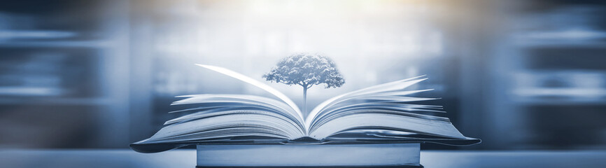 女团比赛中为什么感觉陈梦比不上搭档王曼昱？