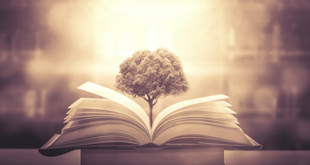 汽车标志唐是什么牌子？