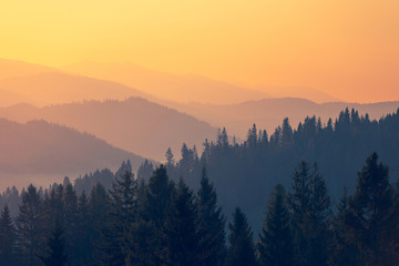 国产车的耐久性真的要比国外的车差吗？