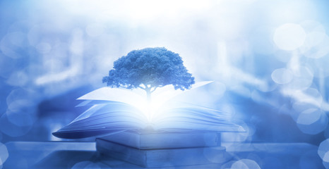 国产车拥有迈巴赫体验