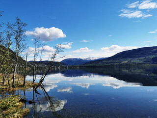 国产车可以媲美荣放