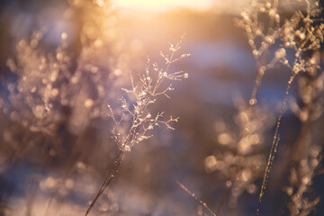 你们觉得奇瑞汽车怎么样？