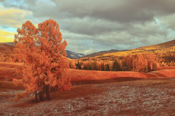 你们觉得奇瑞汽车怎么样？