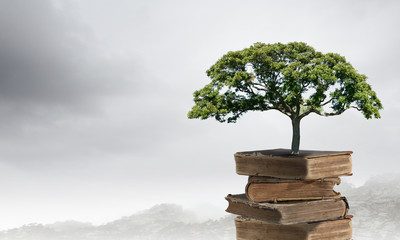 4出排气孔国产车