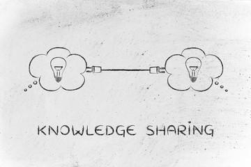 国产车的耐久性真的要比国外的车差吗？